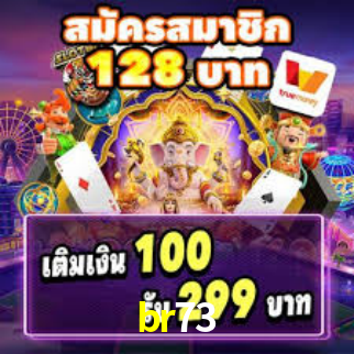 Premium Interface br73